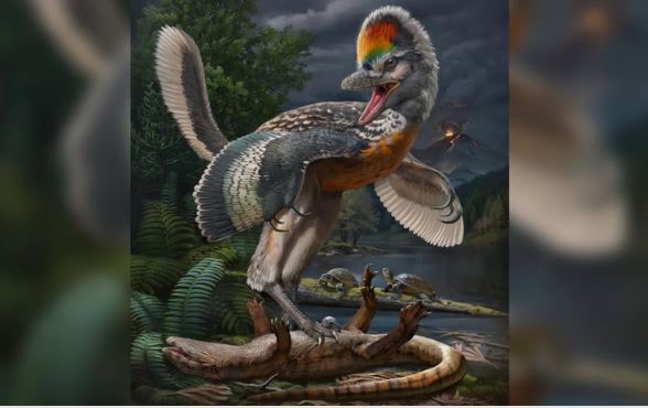Hóa thạch khủng long có hình dáng tương tự loài chim