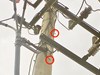 Đà Nẵng: Hàng nghìn mét dây cáp điện bị cắt trộm