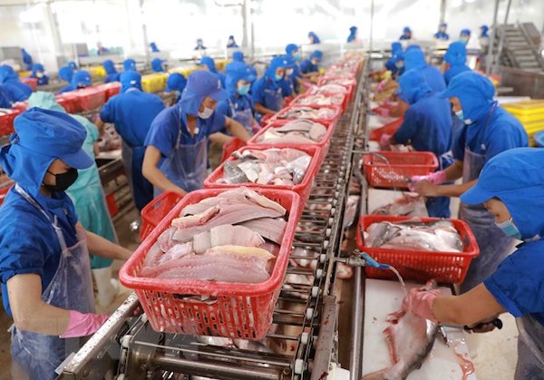 Xuất khẩu thủy sản trở lại “đường đua” - Tạp chí Doanh nghiệp Việt Nam