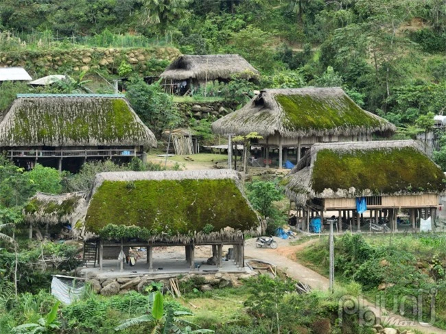 Từ bao đời, những ngôi nhà sàn lợp mái lá cọ đã che chở, bảo vệ người dân nơi đây chống chọi với thời tiết quanh năm sương mù bao phủ