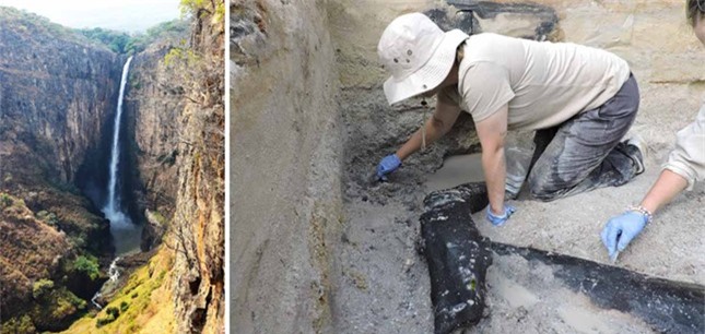 Phát hiện kinh ngạc từ những khúc gỗ lâu đời nhất thế giới ảnh 3