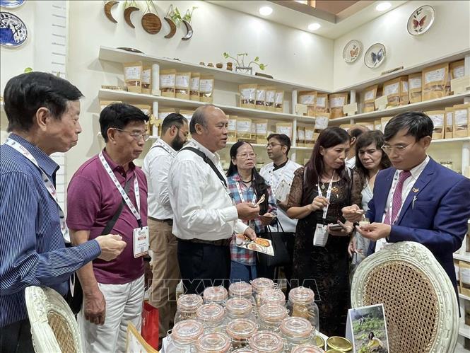 Gần 50 doanh nghiệp Việt Nam tham dự chương trình xúc tiến thương mại tại Ấn Độ