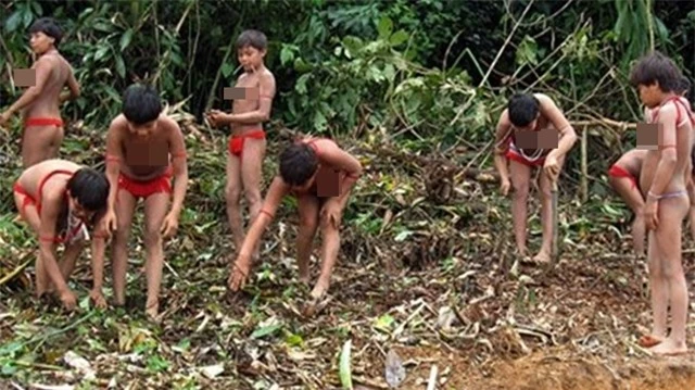 Yanomami-2
