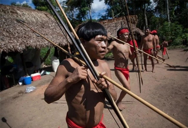 Yanomami-3