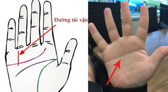 Ai sở hữu đường chỉ tay này, cả đời giàu sang phú quý