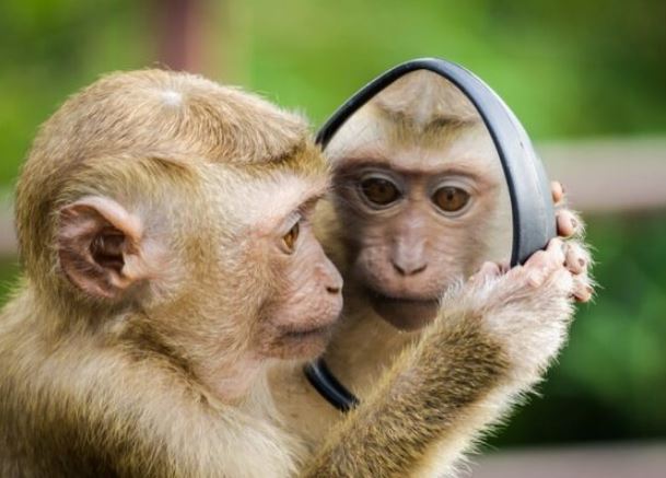 3 con giáp nữ giỏi nắm bắt cơ hội, kiếm được khoản tiền lớn vào giữa năm