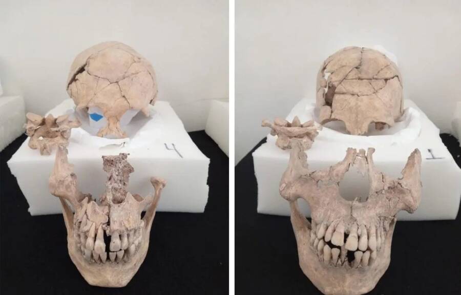 Các nhà khảo cổ ở Mexico phát hiện 13 hộp sọ bí ẩn dưới chân kim tự tháp Maya