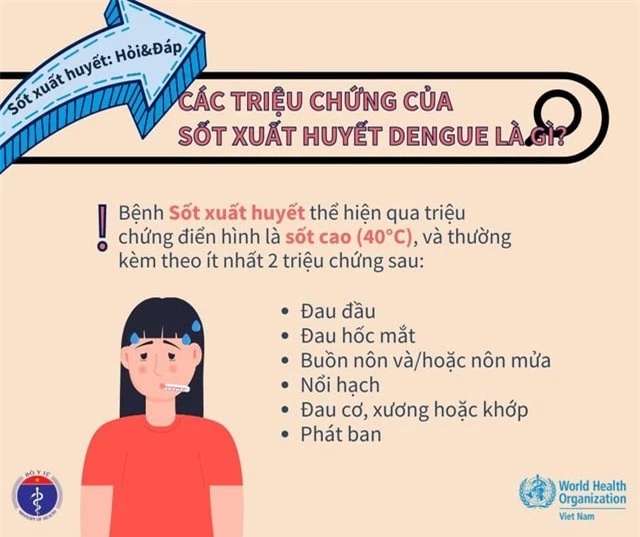 Các triệu chứng của sốt xuất huyết. (Ảnh: Bộ Y tế)