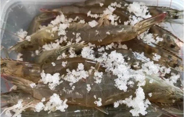 Tôm mua về đừng bỏ ngay vào tủ lạnh: Thêm thứ gia vị này, tôm để cả tháng vẫn tươi ngọt, không đen đầu