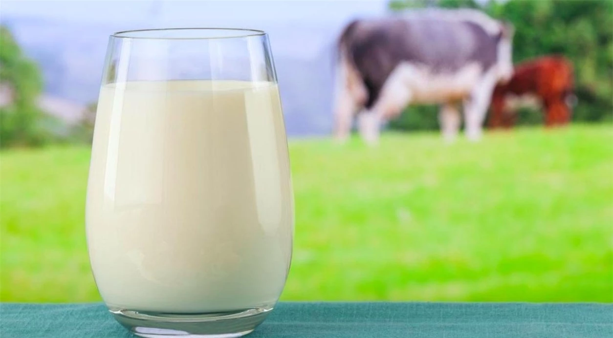 Sữa và các chế phẩm từ sữa giúp tuyến giáp hoạt động trơn tru hơn
