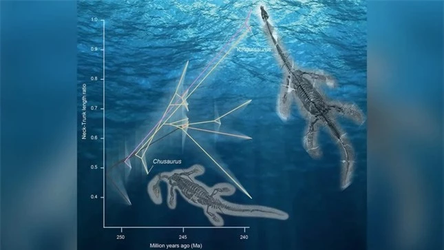 Giải mã quái vật biển cổ đại mọc cổ dài siêu nhanh ảnh 1