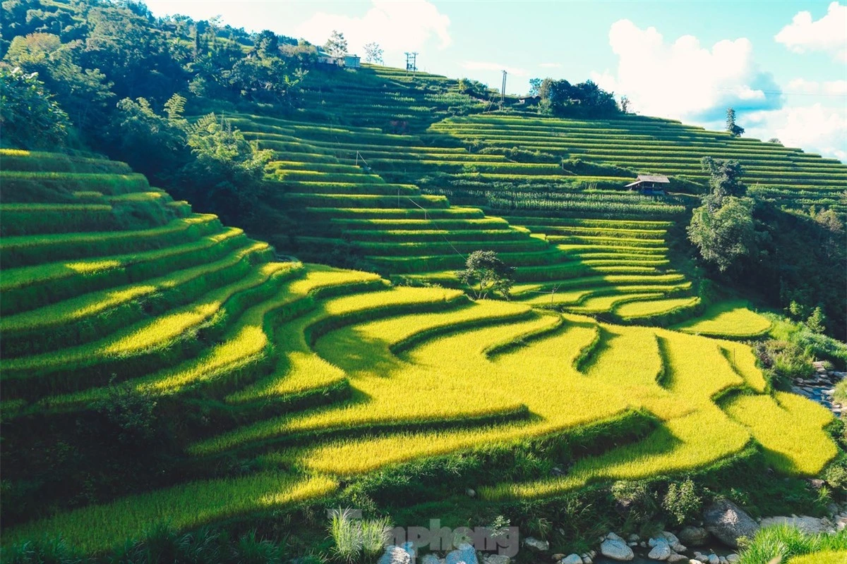 Ngất ngây cảnh sắc 'thiên đường' ruộng bậc thang ở Hoàng Su Phì ảnh 13