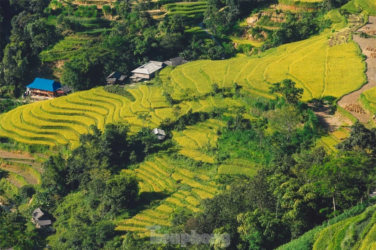 Ngất ngây cảnh sắc 'thiên đường' ruộng bậc thang ở Hoàng Su Phì ảnh 3