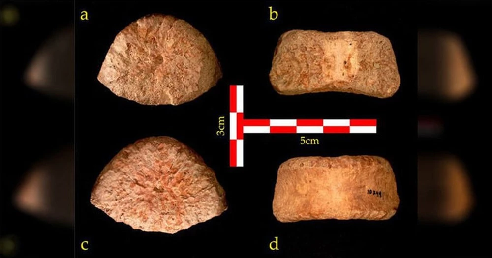 Phát hiện điểm lạ trên hài cốt 5.000 năm tuổi, chuyên gia sốc nặng với vóc dáng người xưa - Ảnh 3.