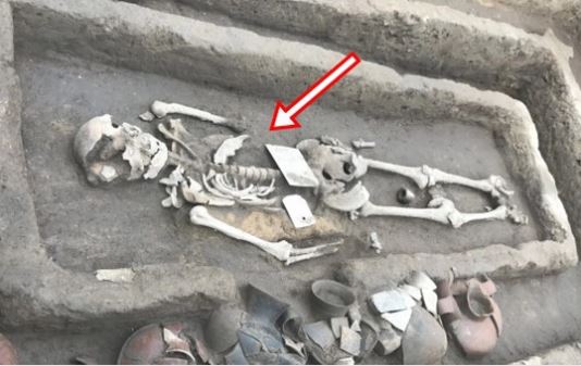 Phát hiện điểm lạ trên hài cốt 5.000 năm tuổi, chuyên gia sốc nặng với vóc dáng người xưa