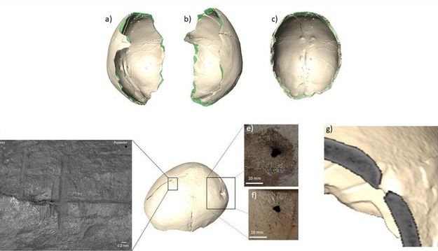 Chiếc chén được chế tác từ hộp sọ người tiền sử