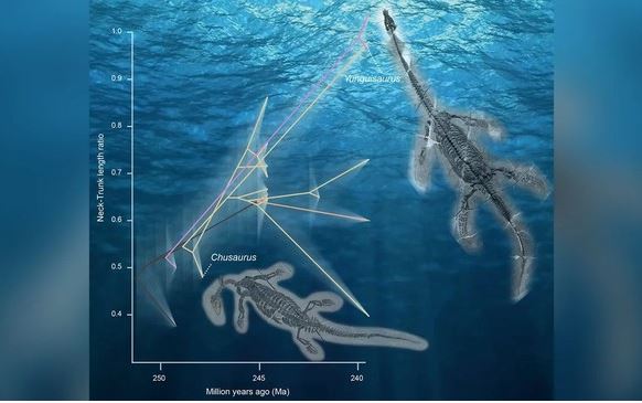Gi&#x1EA3;i m&#xE3; qu&#xE1;i v&#x1EAD;t bi&#x1EC3;n c&#x1ED5; &#x111;&#x1EA1;i m&#x1ECD;c c&#x1ED5; d&#xE0;i si&#xEA;u nhanh