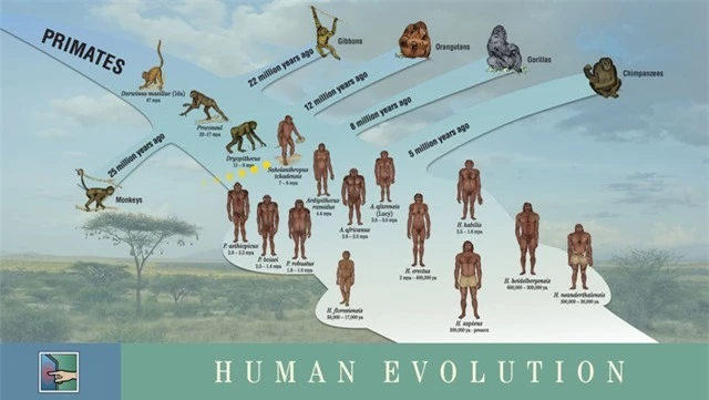 Thảm họa thiên nhiên 2,5 triệu năm trước đã thay đổi sự tiến hóa của nhân loại như thế nào? - Ảnh 1.