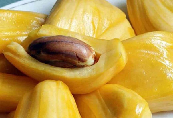 Người Nhật cực quý bộ phận này của quả mít: Phụ nữ ăn sẽ xóa mờ nếp nhăn, khỏe nội tạng, tốt cho sinh lý nhưng người Việt vẫn thường vứt bỏ