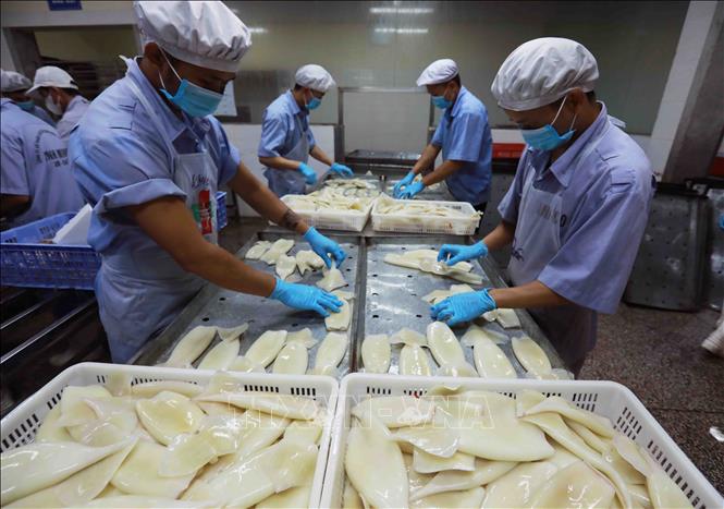 Phó Thống đốc nêu hàng loạt giải pháp ‘chống ế tiền’