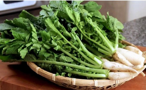 Bộ phận "bổ tựa nhân sâm" của củ cải, tận dụng có thể kéo dài thanh xuân và trị bệnh rất tốt nhưng nhiều người vẫn vô tư ném bỏ