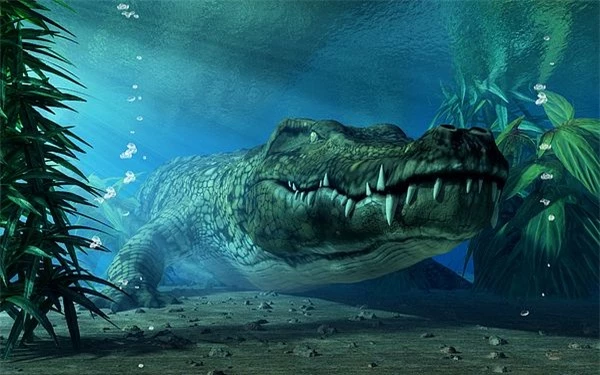 Đây là những điều sẽ xảy ra nếu bạn thả một con cá sấu vào hồ đầy cá ăn thịt piranha - Ảnh 4.