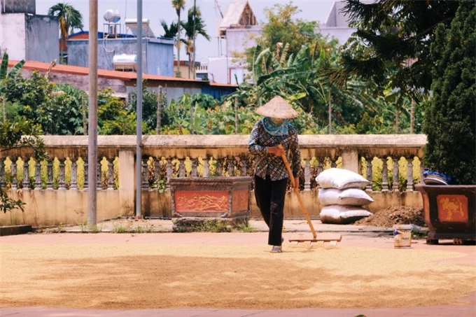 Về Hải Phòng thăm đền Mõ, nơi có cây gạo hơn 700 tuổi gắn liền với chuyện tình của nàng công chúa nổi tiếng nhất lịch sử Việt Nam