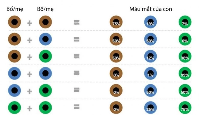 Mẹ chồng bắt véo sống mũi cháu cho cao hơn, bác sĩ nói 1 câu khiến bà ngượng chín mặt - 3