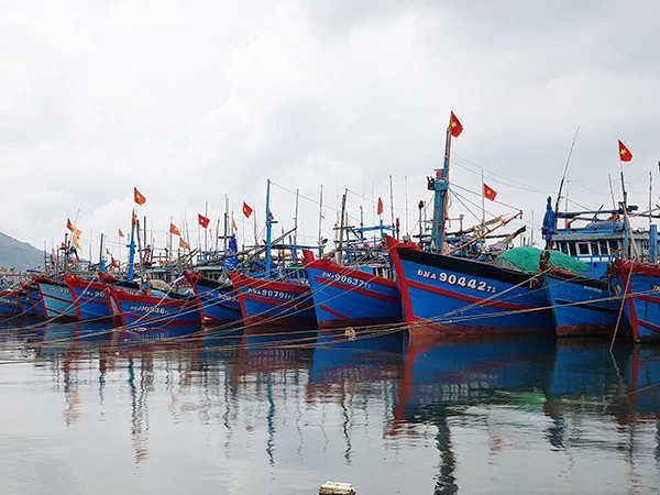Tàu  thuyền của ngư dân miền Trung vào neo đậu trong âu thuyền Thọ Quang (Đà Nẵng) để tránh bão.