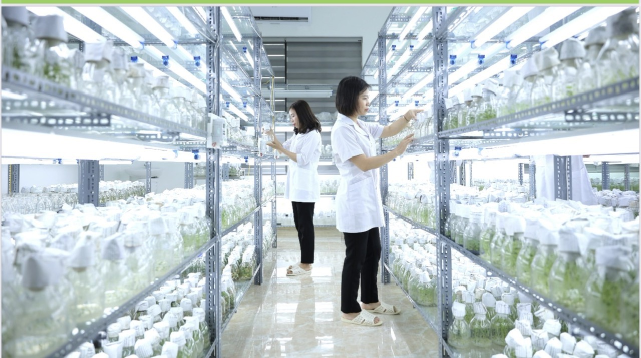 Doanh nghiệp khoa học và công nghệ hưởng ưu đãi theo Nghị định 13 còn ‘nhỏ giọt’