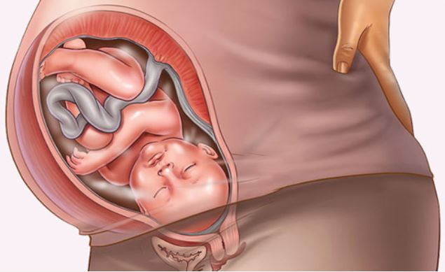 9 điều thai nhi sợ nhất khi ở trong bụng mẹ, các bà bầu hãy tránh xa để con yêu luôn vui vẻ và khỏe mạnh