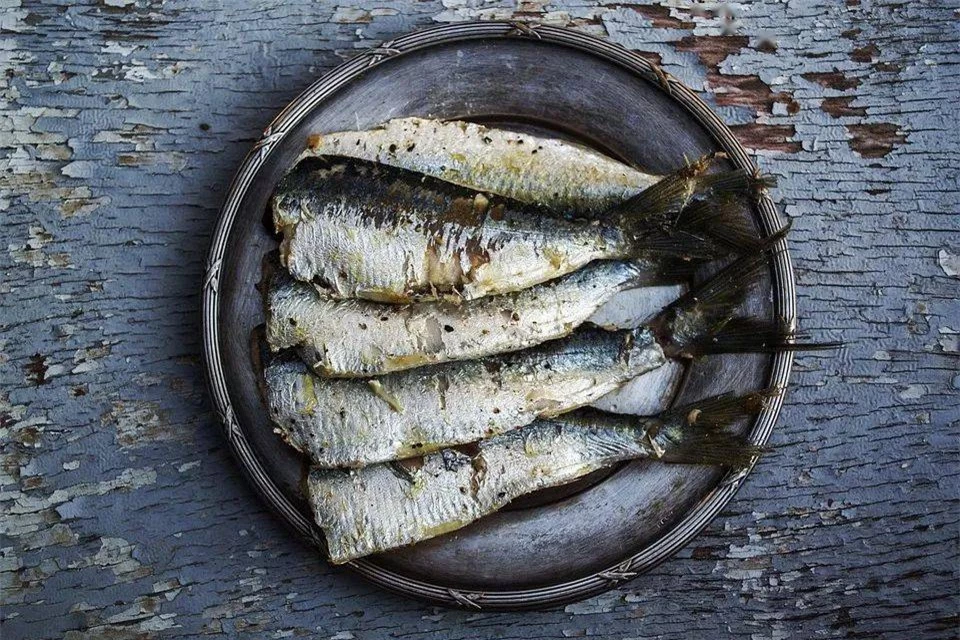 Cá nổi tiếng ngon bổ nhưng có 5 loại cá không nên ăn vì cực nguy hiểm, có thể gây ngộ độc và ung thư nhanh khủng khiếp - Ảnh 1.