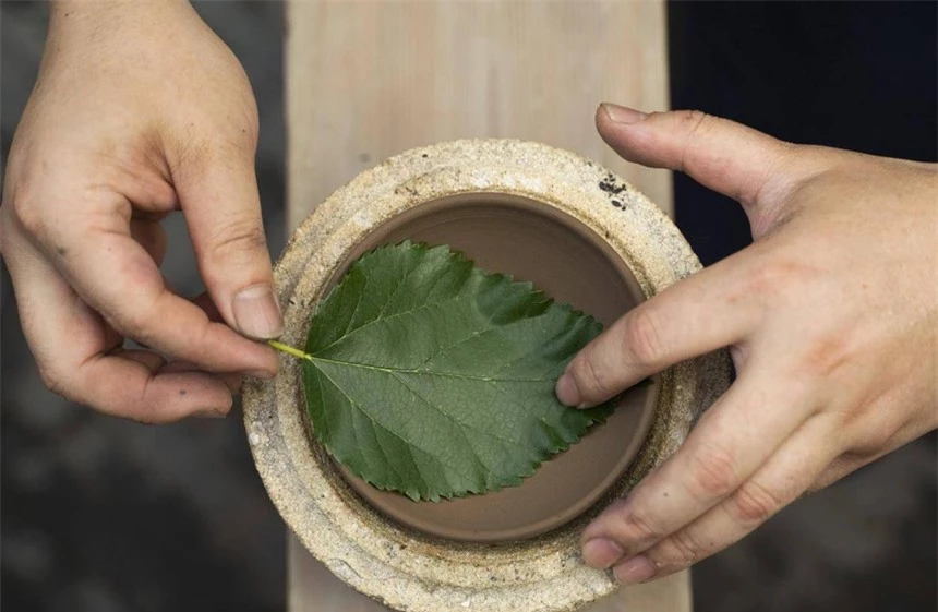 Chàng trai bị chê cười vì mang "bát cái bang" đi thẩm định, chuyên gia đổ nước vào phát hiện bí mật - Ảnh 4.