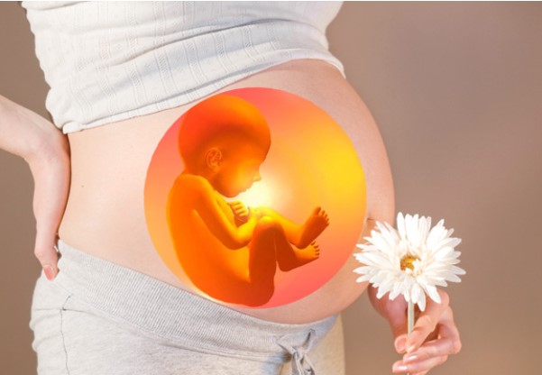 5 bộ phận chịu ảnh hưởng, bị 'thiệt thòi' nhất mẹ cần chăm sóc khi mang thai