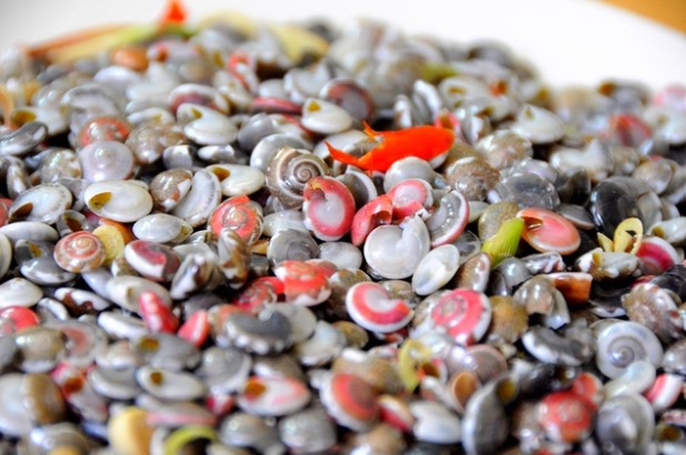 Món ốc 'kỳ lạ' ở Việt Nam khiến thực khách mỏi tay hoa mắt nhưng vẫn thích mê