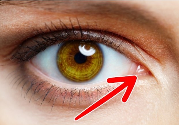 14 bộ phận cơ thể con người có khả năng biến mất trong tương lai không xa