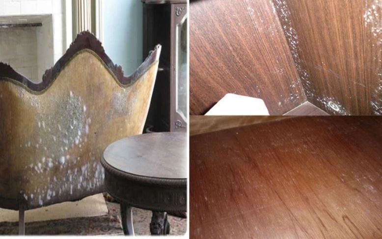 Mẹo bảo quản đồ dùng trong nhà khi trời nồm ẩm