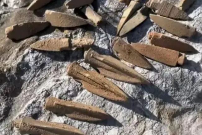 Ông lão lên núi đào được dao gỉ sét, đem bán ai ngờ hốt bạc tỷ