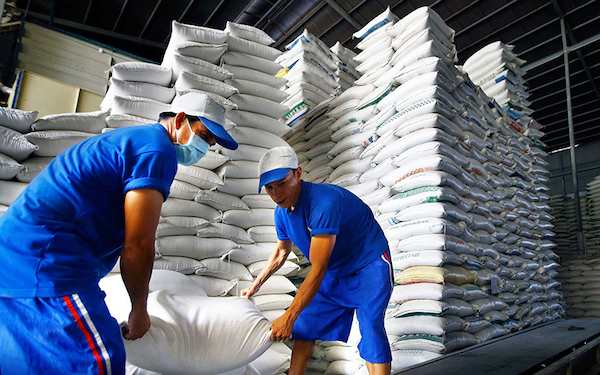 VCCI: Điều kiện kinh doanh xuất khẩu gạo không phù hợp với doanh nghiệp nhỏ