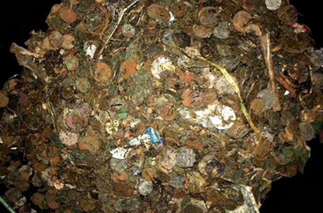 Dọn giếng khô bỏ không, bất ngờ tìm được 'kho báu'