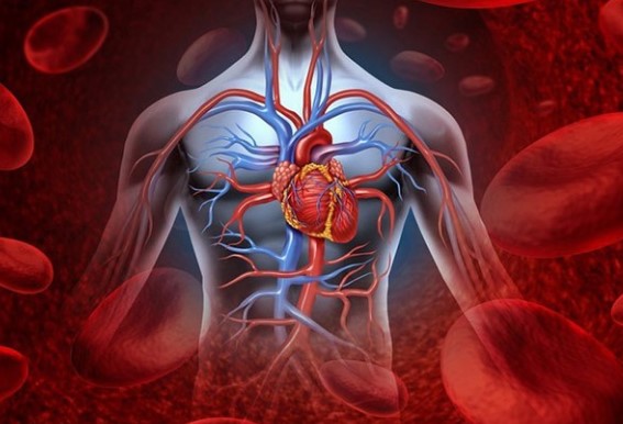 Khi bệnh tim 'tấn công', trên cơ thể sẽ có 3 phản ứng kỳ lạ
