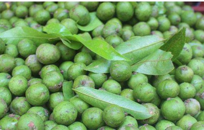 Loại quả nhìn là rớt nước miếng có cái tên hơi kỳ lạ, là thuốc tốt thải độc, khoẻ tiêu hoá