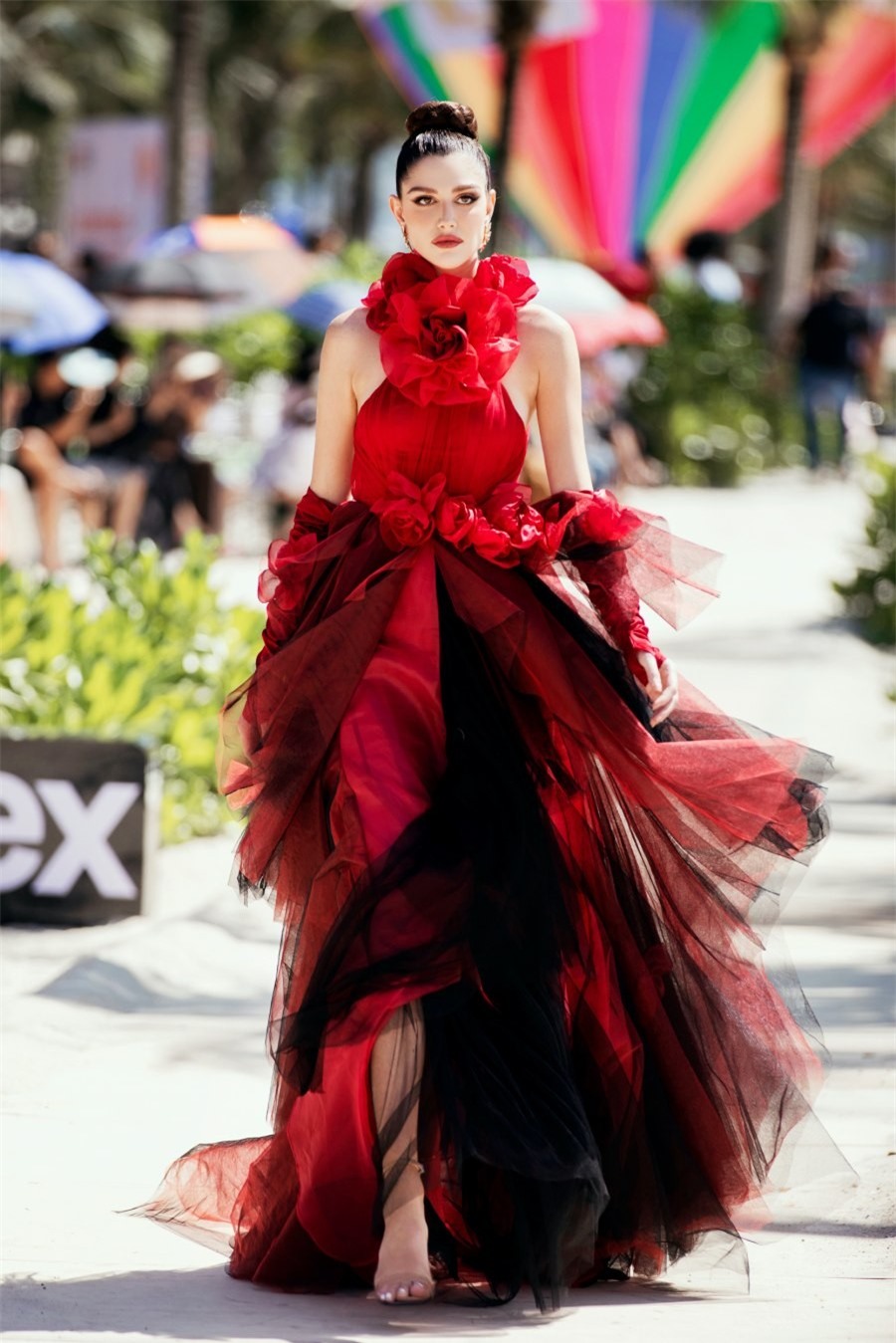 Nội dung chú thích ảnh