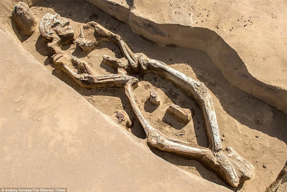Bộ xương 1.300 năm của người đàn ông có tư thế chết rất kỳ lạ.