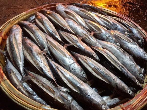 Loại cá có tên vô cùng lạ, xưa ít người biết đến nay thành đặc sản thơm ngon hảo hạng trong nhà hàng, 100.000 đồng/kg - 1