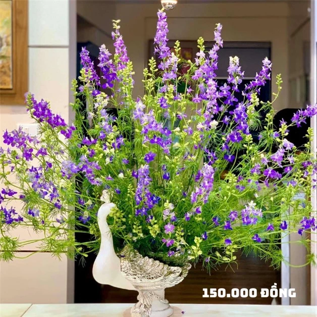 Top 10 loài hoa có thể khiến không gian nhà bạn trở nên ấm áp và sang trọng vào mùa thu - 7