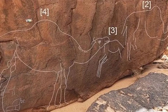 Phát hiện những bức chạm lạc đà bí ẩn trên đá