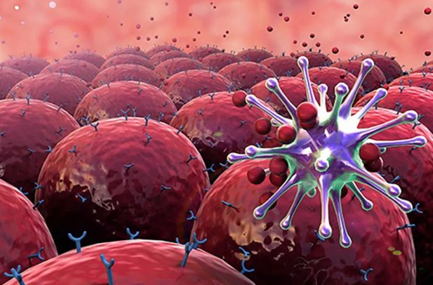 'Ngứa' thường xuyên ở bộ phận này trên cơ thể chính là dấu hiệu ung thư giai đoạn cuối, nên ăn nhiều 8 món để giải độc nội tạng, nuôi dưỡng ruột tốt nhất