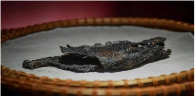 Những con cá khô được tìm thấy trong mộ cổ đang được trưng bày ở Bảo tàng tỉnh Hồ Bắc. (Ảnh: Sohu)