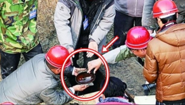 Thợ điện vào mộ cổ trộm con cá khô, chuyên gia vừa nhìn đã hét lên: 'Đây mới là bảo vật'